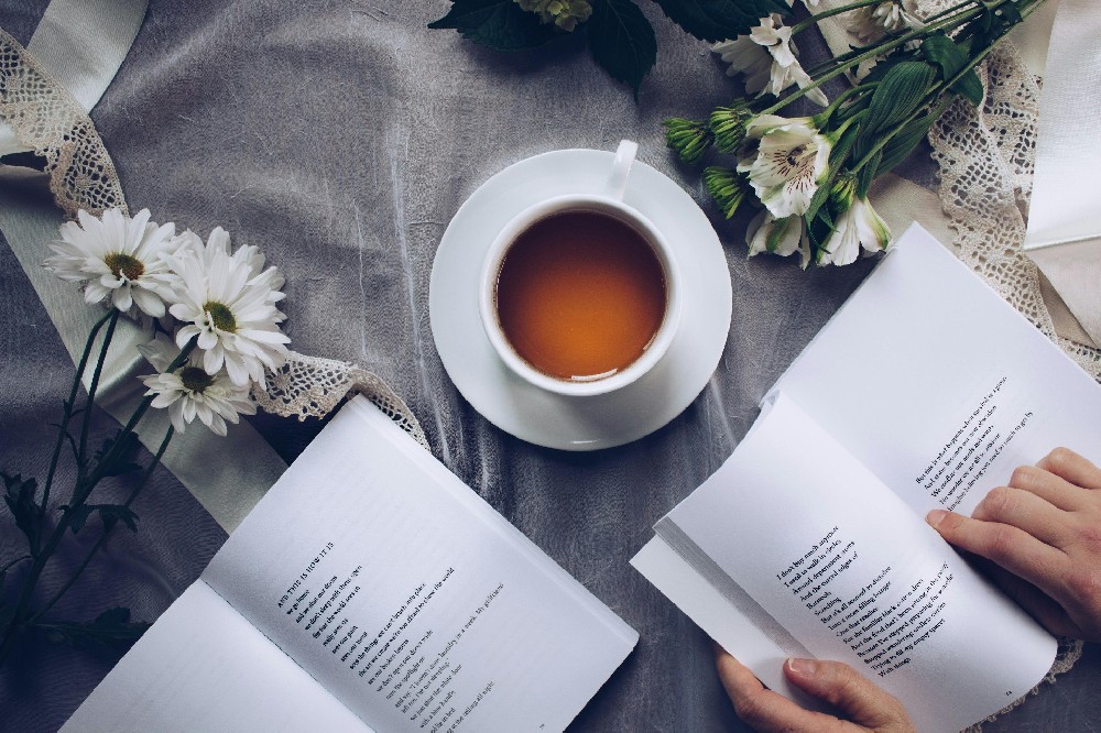 How to Read an Embryo Report in Mexico Surrogacy? Understanding Embryo Grades
